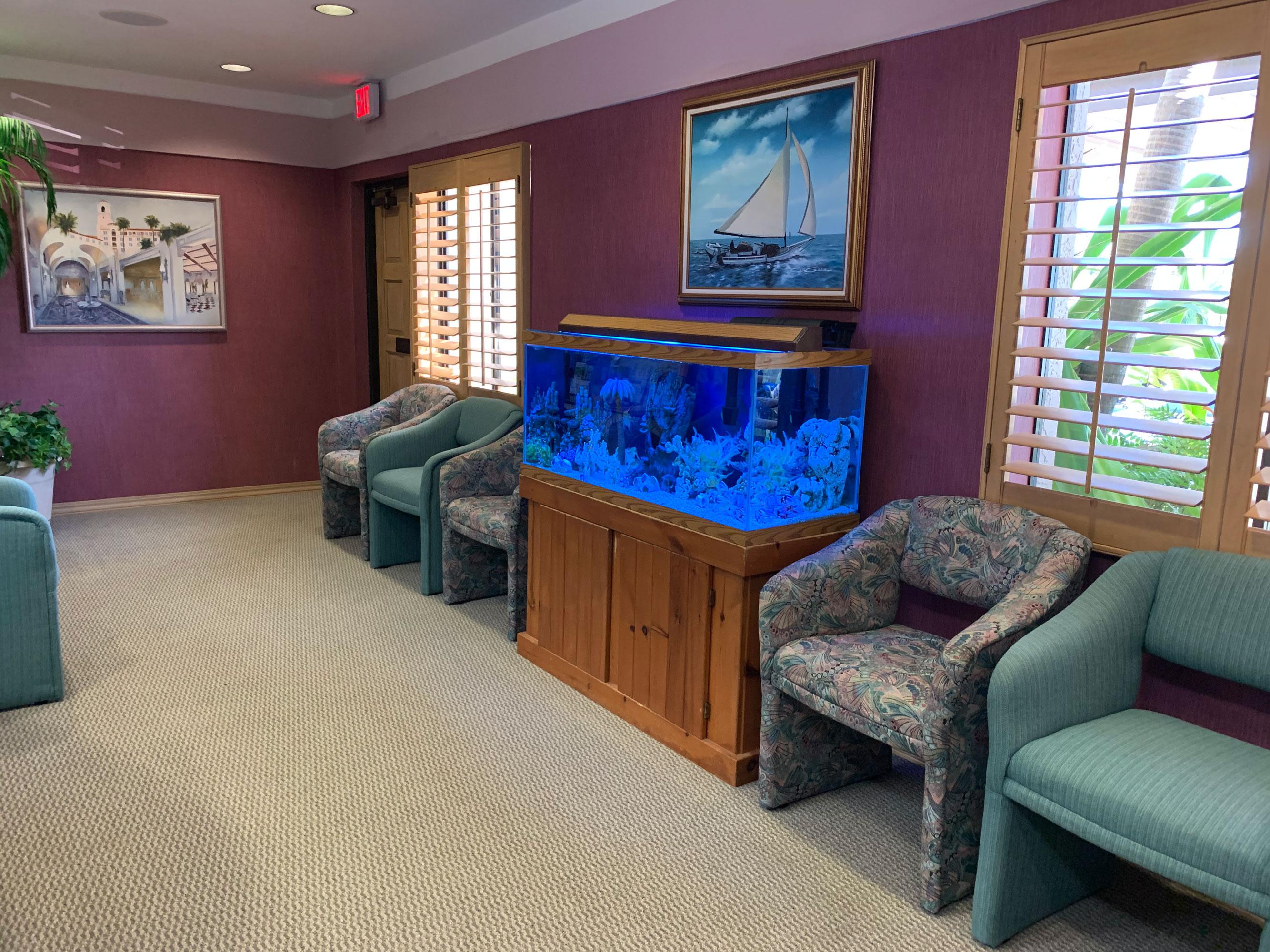Dental Office South Pasadena FL